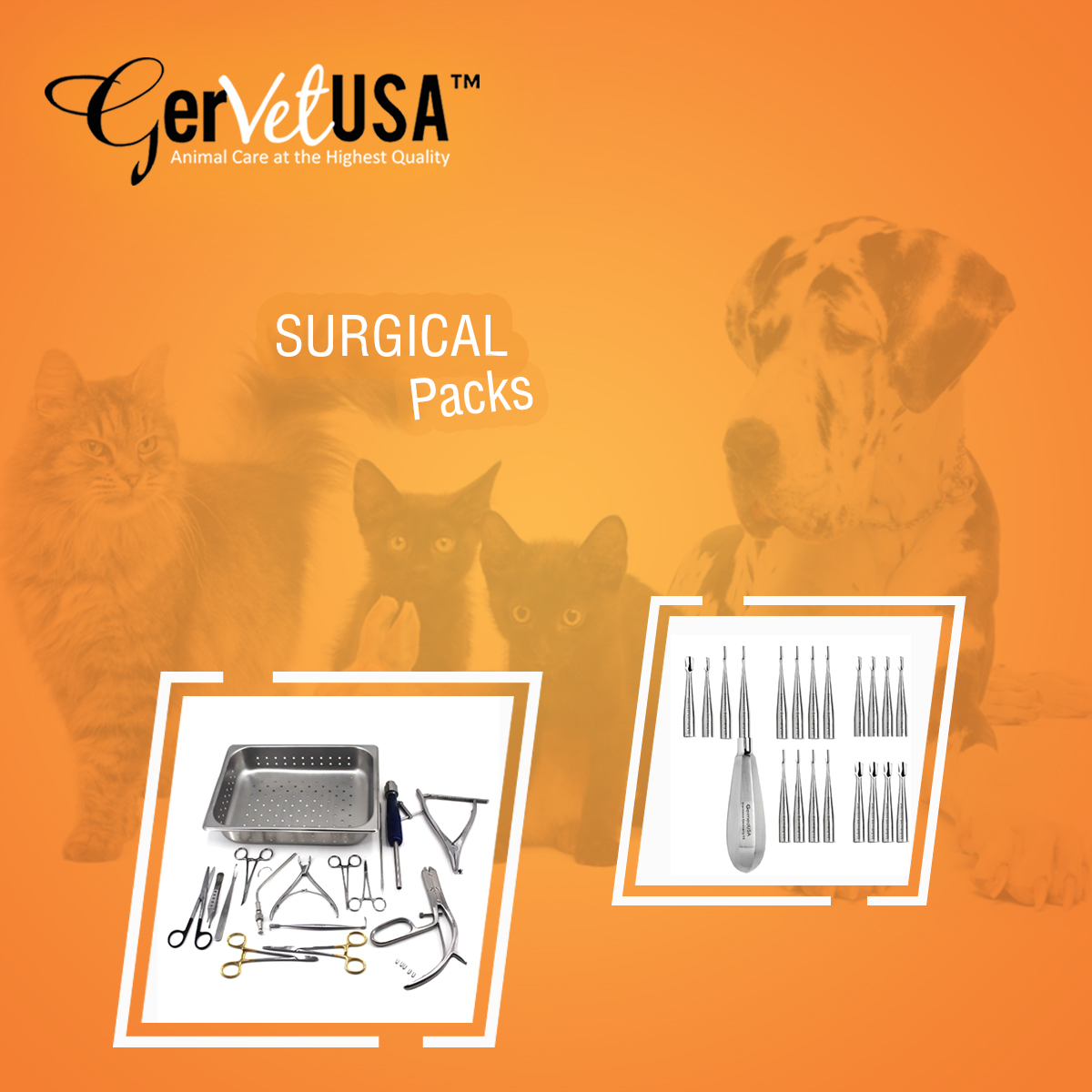 Gervetusa Reveals The Most Distinctive Surgical Packs Prunderground