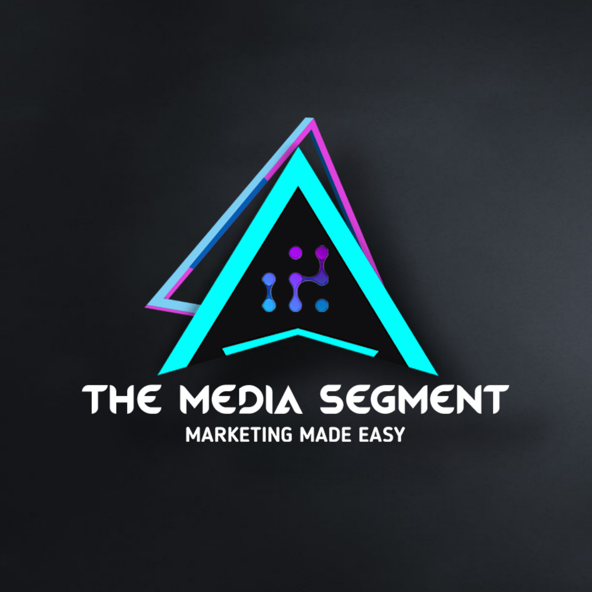 The Media Segment