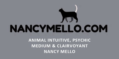 what is mello medicine for dogs